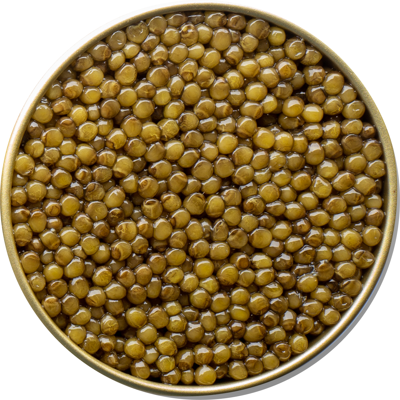  Astrea Caviar 