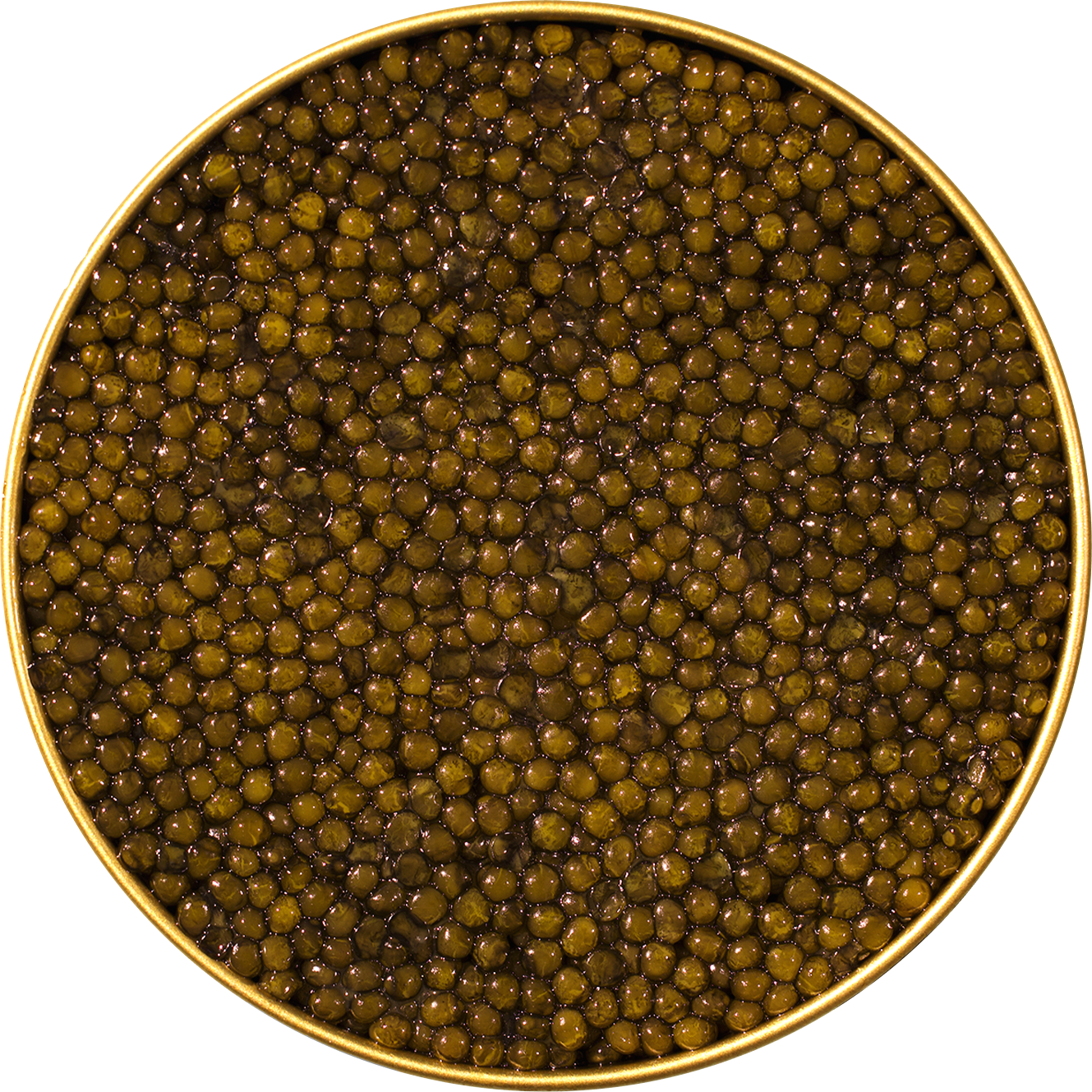  Astrea Caviar 