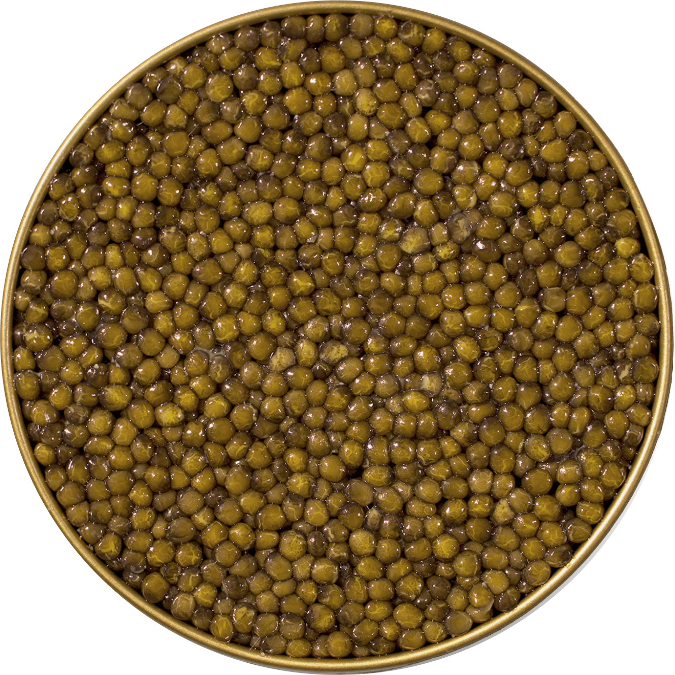  Astrea Caviar 